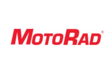 BRANDON KIGHT, Vice President – Marketing, Motorad USA